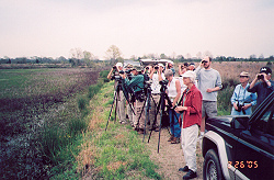 Birmingham Audubon Society looking at an American Bittern on Donavan Lake