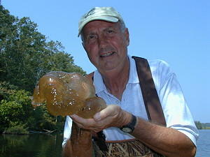 Manager Wilson with blob of bryozoa...moss animals