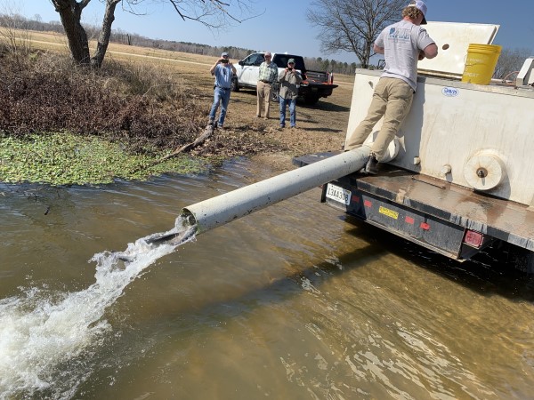 Davis Fish Farm