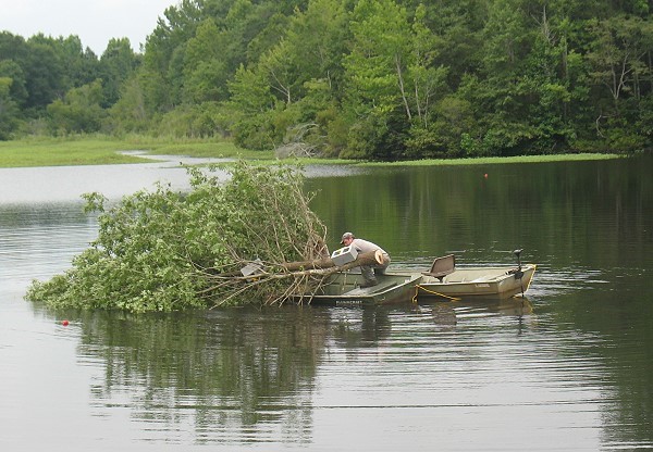 Dumbing trees for bass structure in Lake Gayle, July 2014