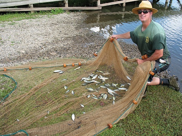 Jay Hafner, State District Fisheries Biologist, sampled the Club lakes on 19 July 10.