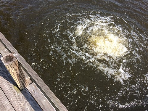 Donavan lake piere off Sturdivant dam