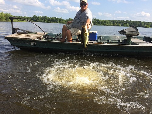 Rod Bamberg with another big bass from the "boiling" water of the Sturdivant overflow pipe.