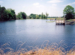 Snag Lake and its two piers