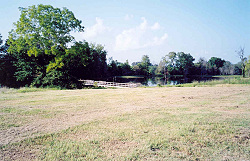 Camping area beside Snag Lake