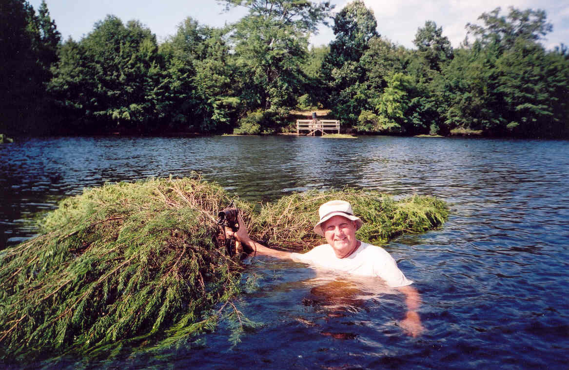 Manager Wilson placing cedar trees on a pole structure in Lake Galyle (summer of 2002).